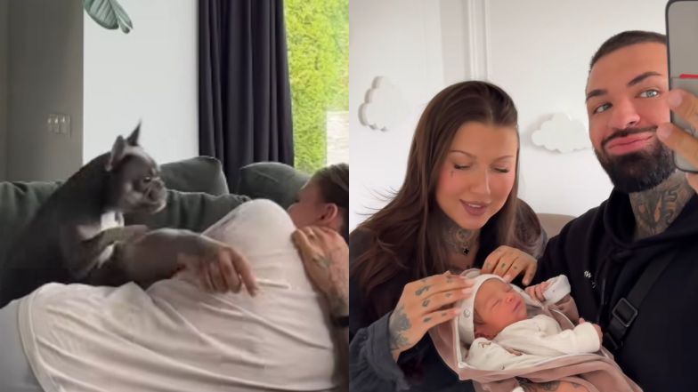 Dramatów Deynn i Majewskiego z psem ciąg dalszy