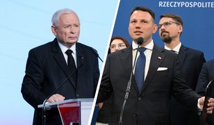 Wspólne cechy PiS-u i Konfederacji. Socjolog wskazał