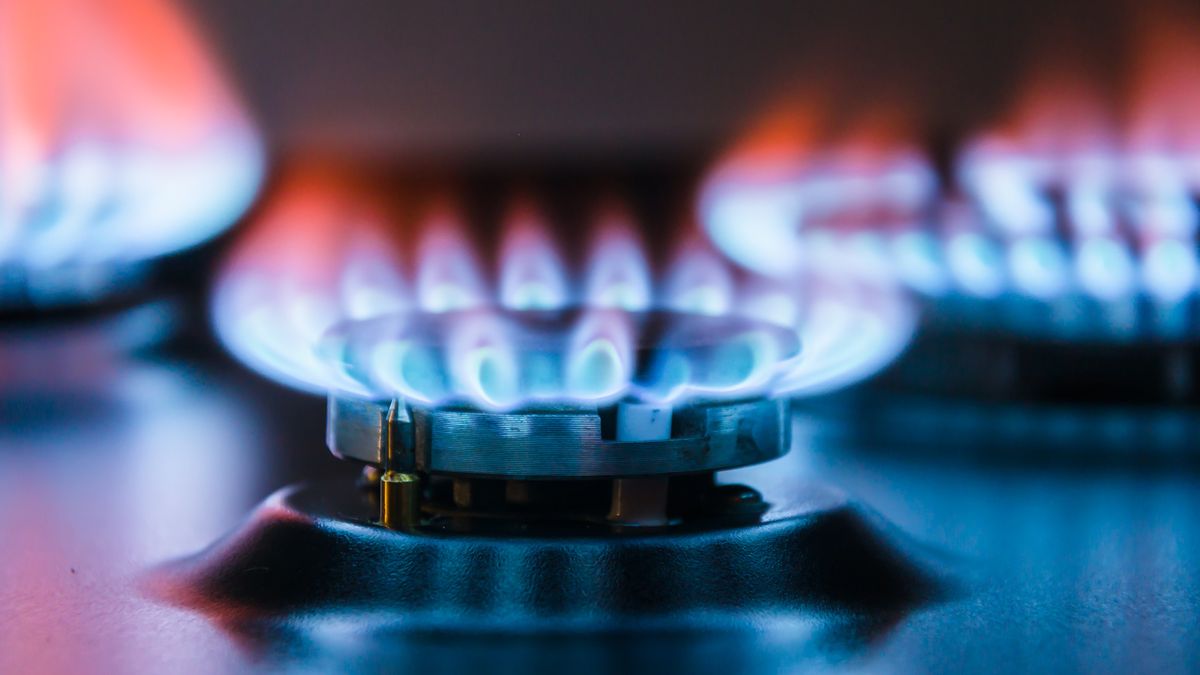 Burning gas burner.
Burning gas burner. Blue fire with a red flame.
gas, stove, flame, burner, energy, oven, fire, blue, power, fuel, heat, natural, kitchen, domestic, cook, light, butane, burn, glow, hob, appliance, methane, range, hot, black, danger, flammable, warm, top, background, blaze, close-up, dark, glowing, alight, propane, abstract, combust, copyspace, element, gasoline, horizontal, macro, photo, shot, stovetop, studio, cooker, safety, bake