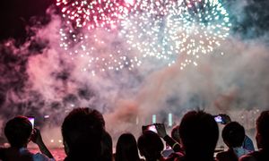 Apele z całej Polski. "Nie jest warte traumy zwierząt"