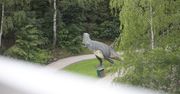 Nowa atrakcja w śląskim ZOO. Kładka nad Kotliną Dinozaurów już otwarta