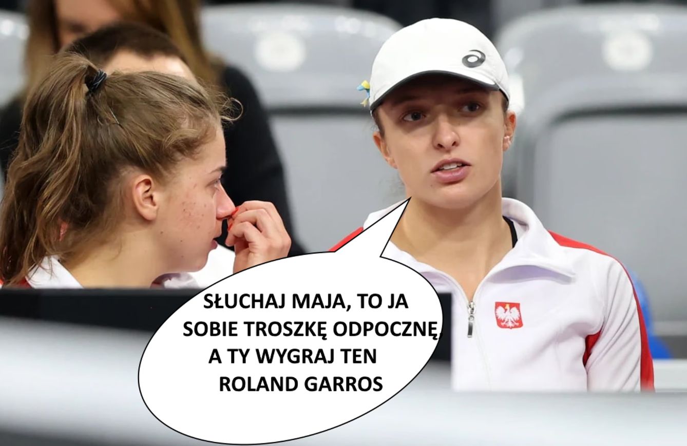 Maja Chwalińska - memy
