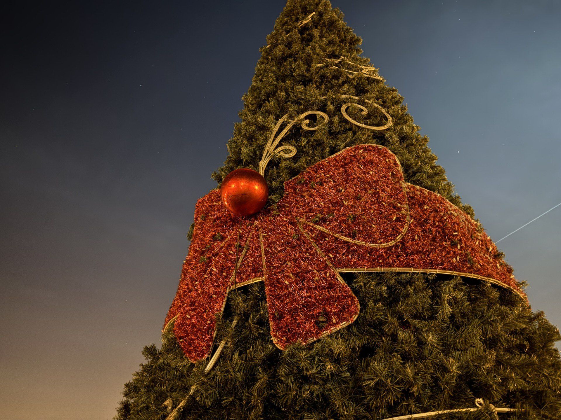 Choinka na rynku w Olkuszu już gotowa