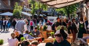 Planują w ostatniej chwili. "Nawet czasem z dnia na dzień"