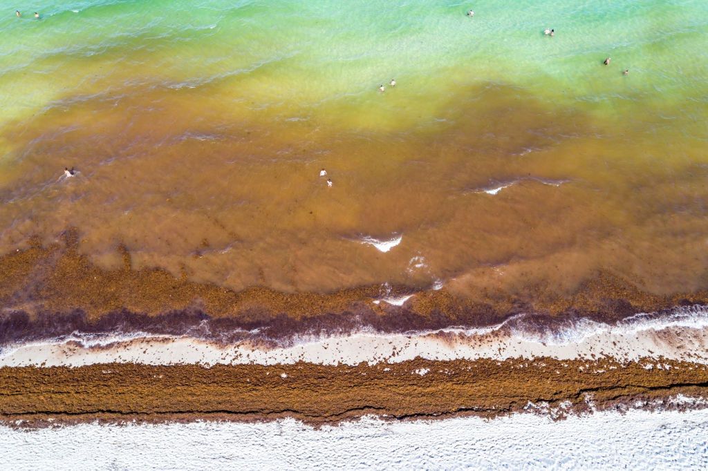 Tak wyglądające plaże odstraszają urlopowiczów 