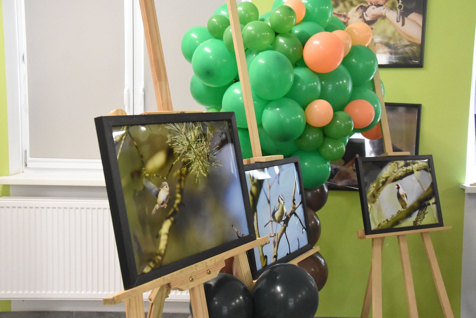 Podczas ostatniej edycji Spaceru Gajowego można było obejrzeć wystawę fotografii autorstwa Kacpra Przebierały.