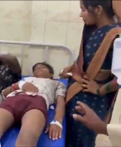 Indie. Małpy zerwały kabel. Wybuchła panika, są zabici