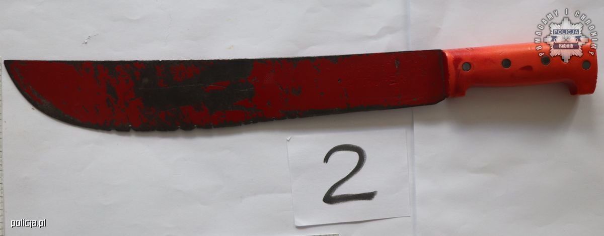 Brutalna napaść w Rybniku! Zamaskowani napastnicy wtargnęli do domu, grozili maczetą i strzelali do psów