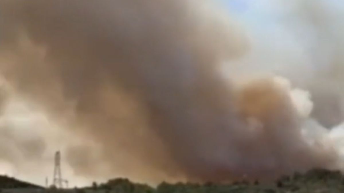 Pożar lasu koło Narbonne