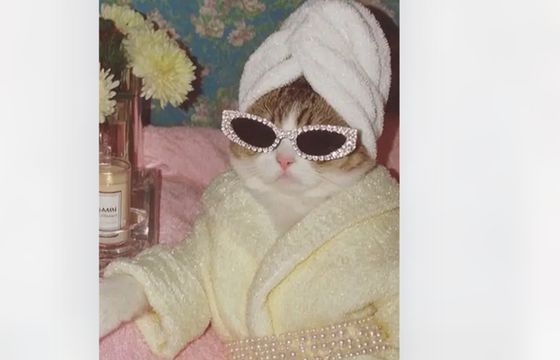 Ten kraj mówi "basta" treściom generowanym w AI. Szykuje nowe przepisy