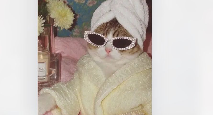 Ten kraj mówi "basta" treściom generowanym w AI. Szykuje nowe przepisy