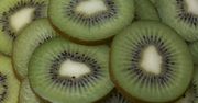 Kiwi – owoc, który warto jeść zimą