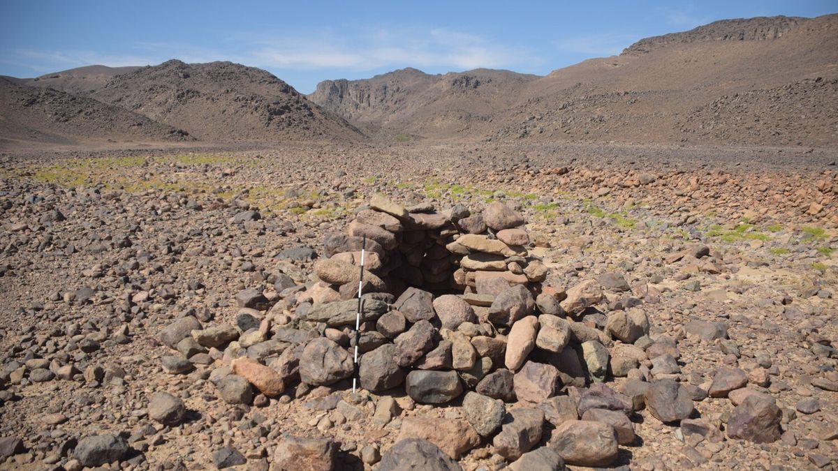 Odkrycie polskich badaczy