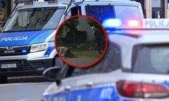 Rowerzysta popchnął 80-latkę. Policja ustaliła jego tożsamość