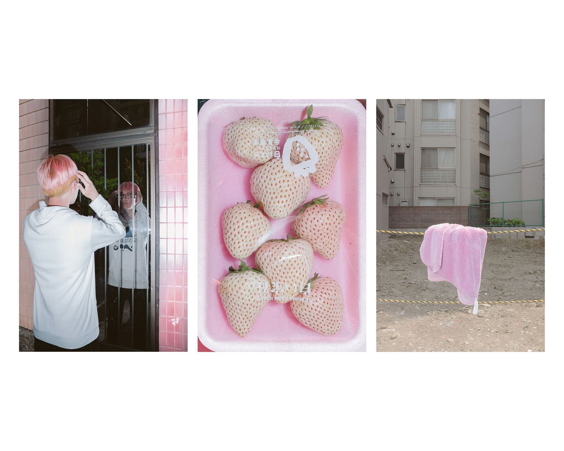 "Dango zamiast kwiatów" - japońskie powiedzenie inspiracją dla fotografa 1
