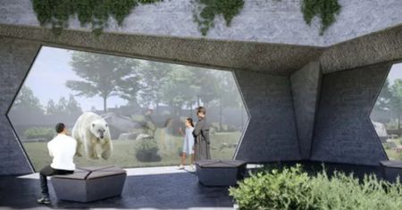 Niedźwiedzie na nowym wybiegu. Jest już projekt w warszawskim ZOO