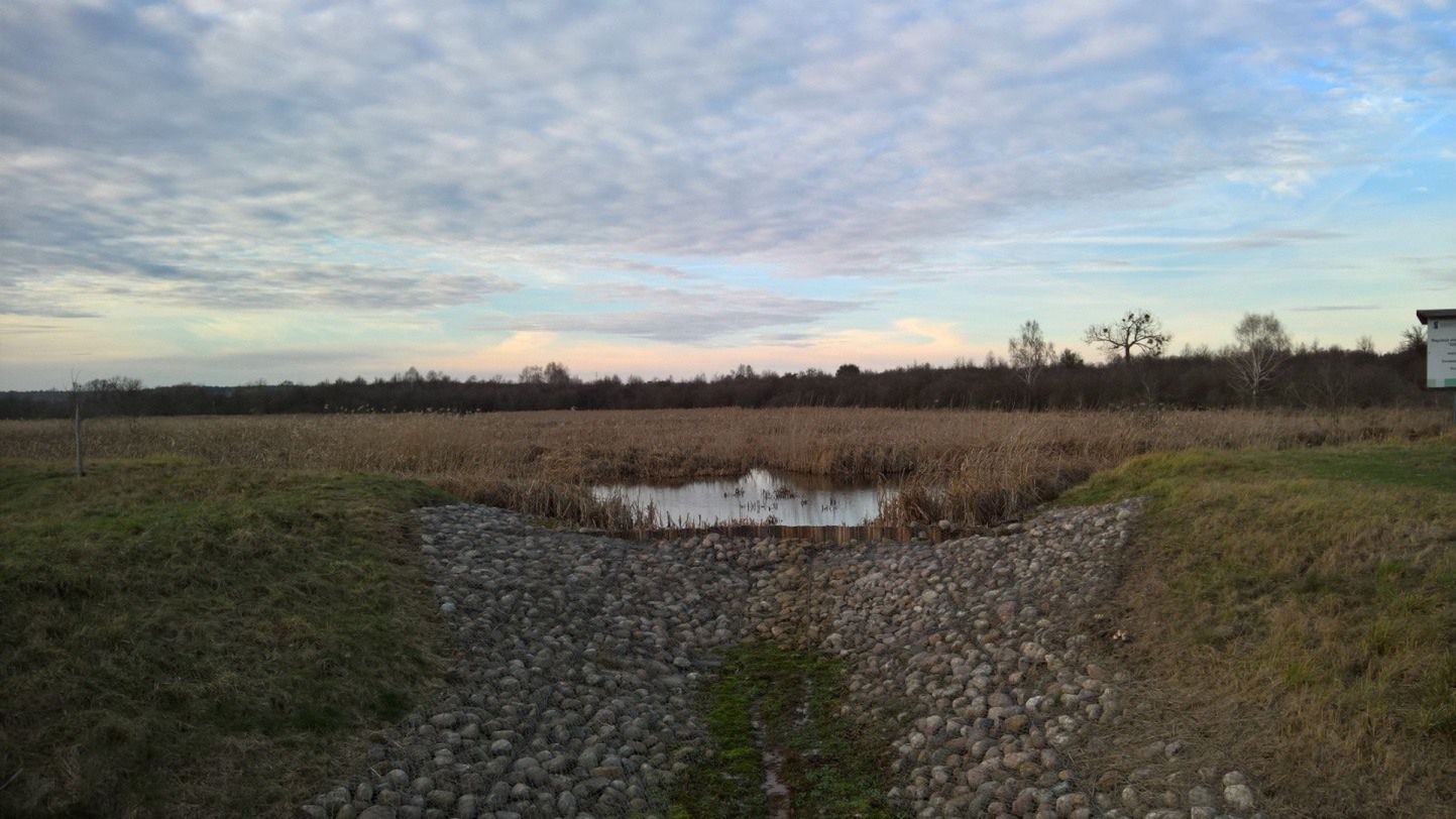 Microsoft Lumia 950 - test i recenzja 37