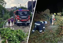 Nawałnice nad Polską. Powalone drzewa na drogach i cmentarzu
