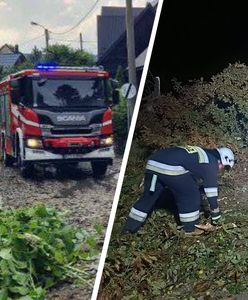 Nawałnice nad Polską. Powalone drzewa na drogach i cmentarzu