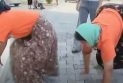 Rodzina z Turcji chodzi na czworaka. Nauka bezradna. "Człowiek powrócił do zachowań zwierzęcych"