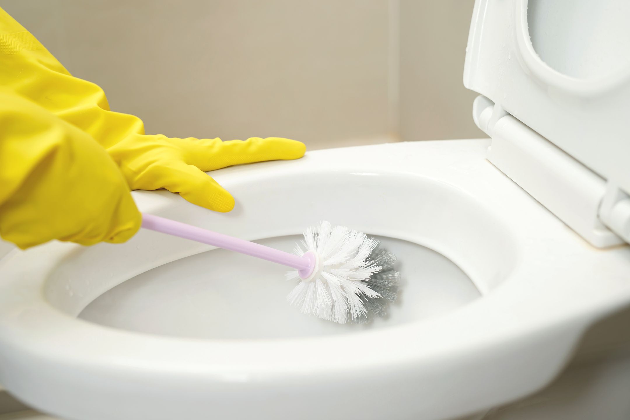 Jak skutecznie wyczyścić muszlę klozetową? 