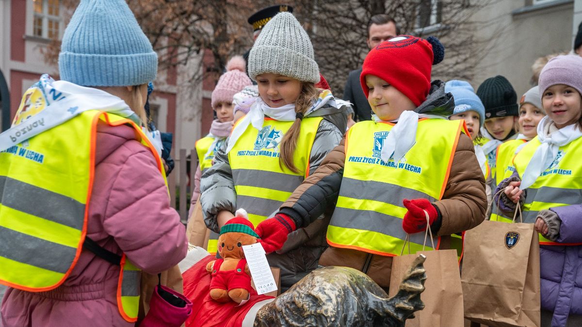 Dzieci ubrały poznańskie koziołki w świąteczne ubranka fot. UMP