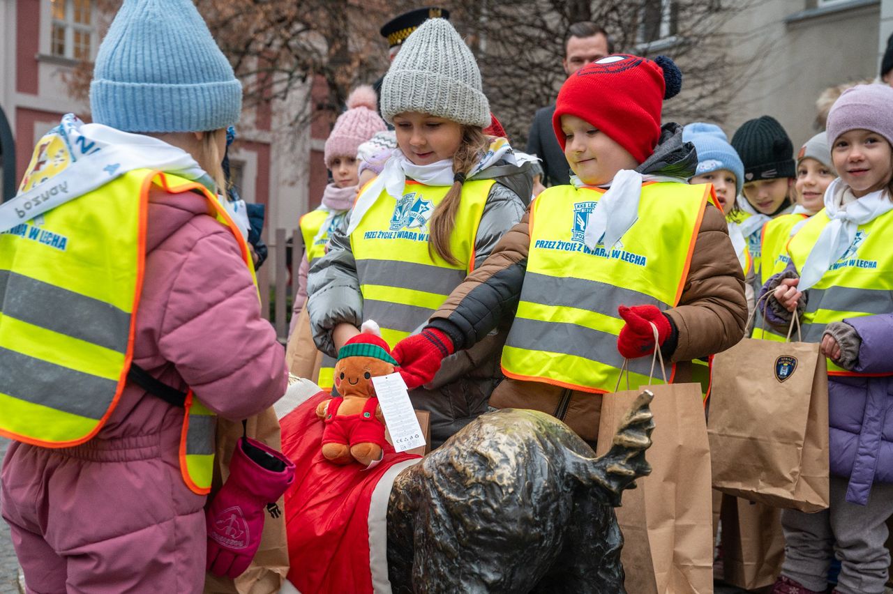 Poznańskie koziołki gotowe na zimę. Przedszkolaki ubrały rzeźbę w świąteczne stroje