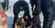 Przysowy: Policjanci uratowali psa w ostatniej chwili