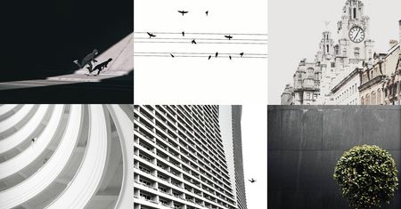 Fotograficzne inspiracje z Instagrama - krajobrazy Warszawy, miejska zieleń i minimalizm [cz. 6]