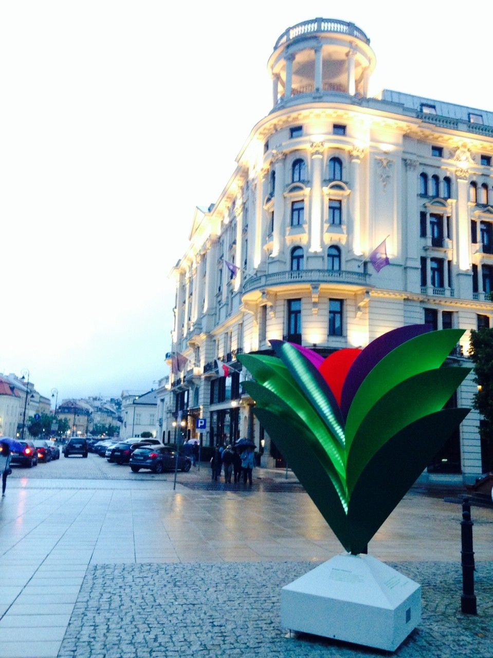 Kwiat paproci "wyrośnie" na Krakowskim Przedmieściu