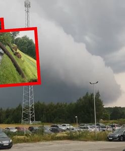 W środku była rodzina z dziećmi. Pogoda szalała nad Polską