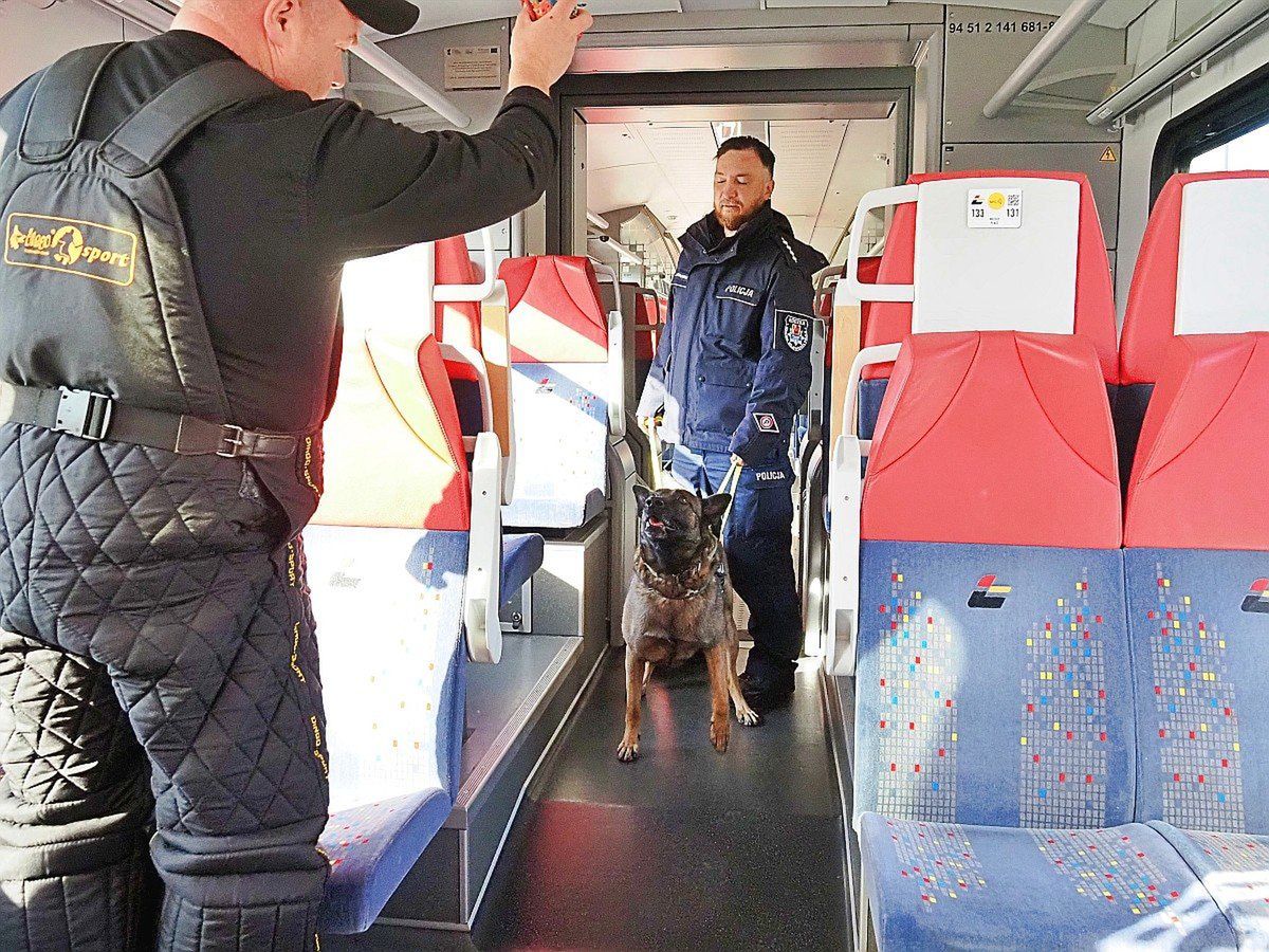 Ćwiczenia służb mundurowych w pociągu Łódzkiej Kolei Aglomeracyjnej
