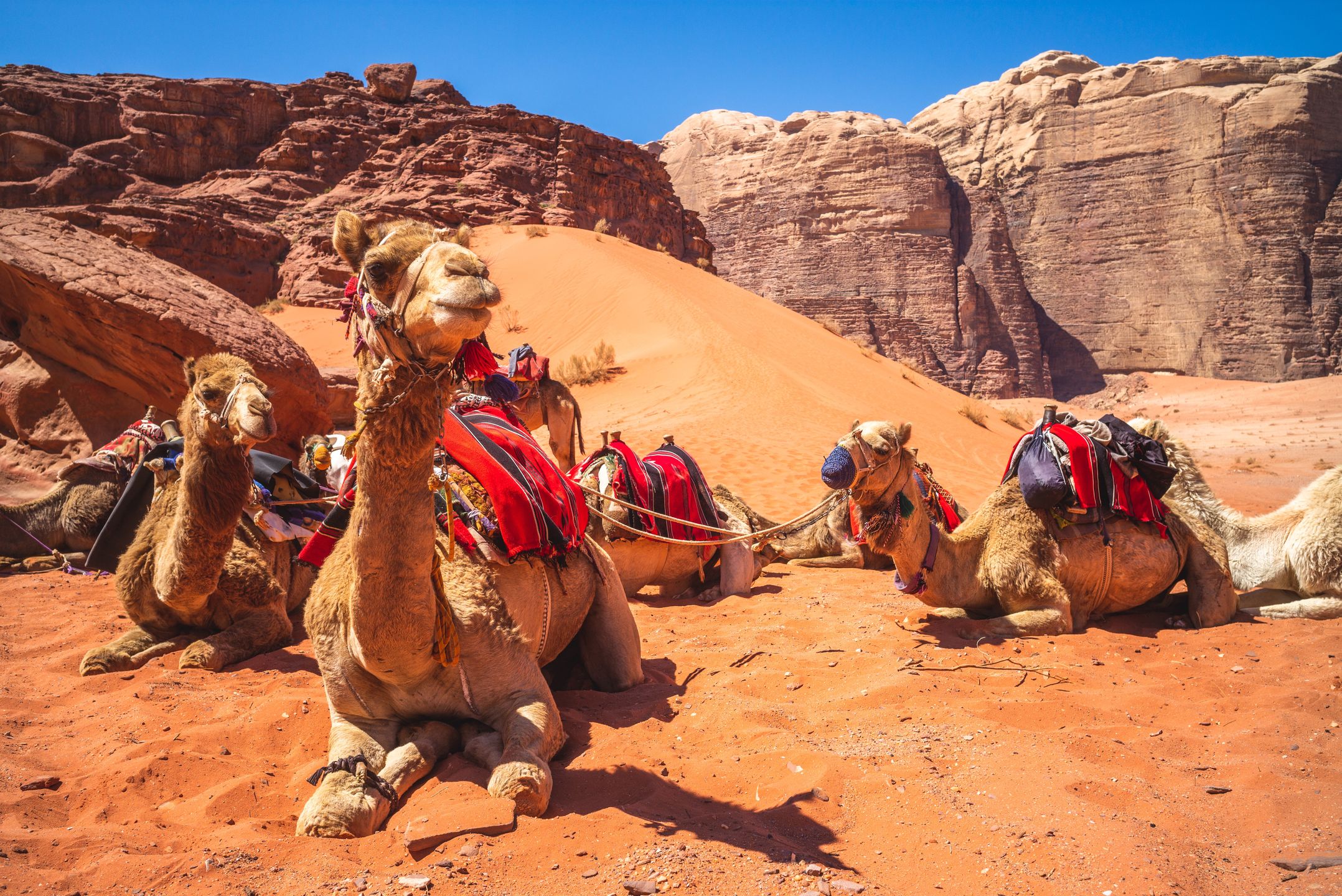 Wadi Rum