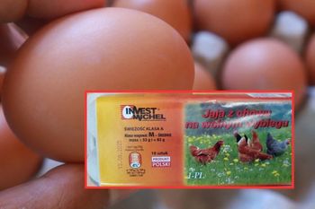 Salmonella w popularnych jajach. GIS ostrzega