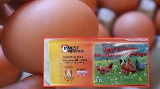 Salmonella w popularnych jajach. GIS ostrzega