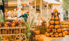 Dyniowa farma zagościła w Centrum Janki