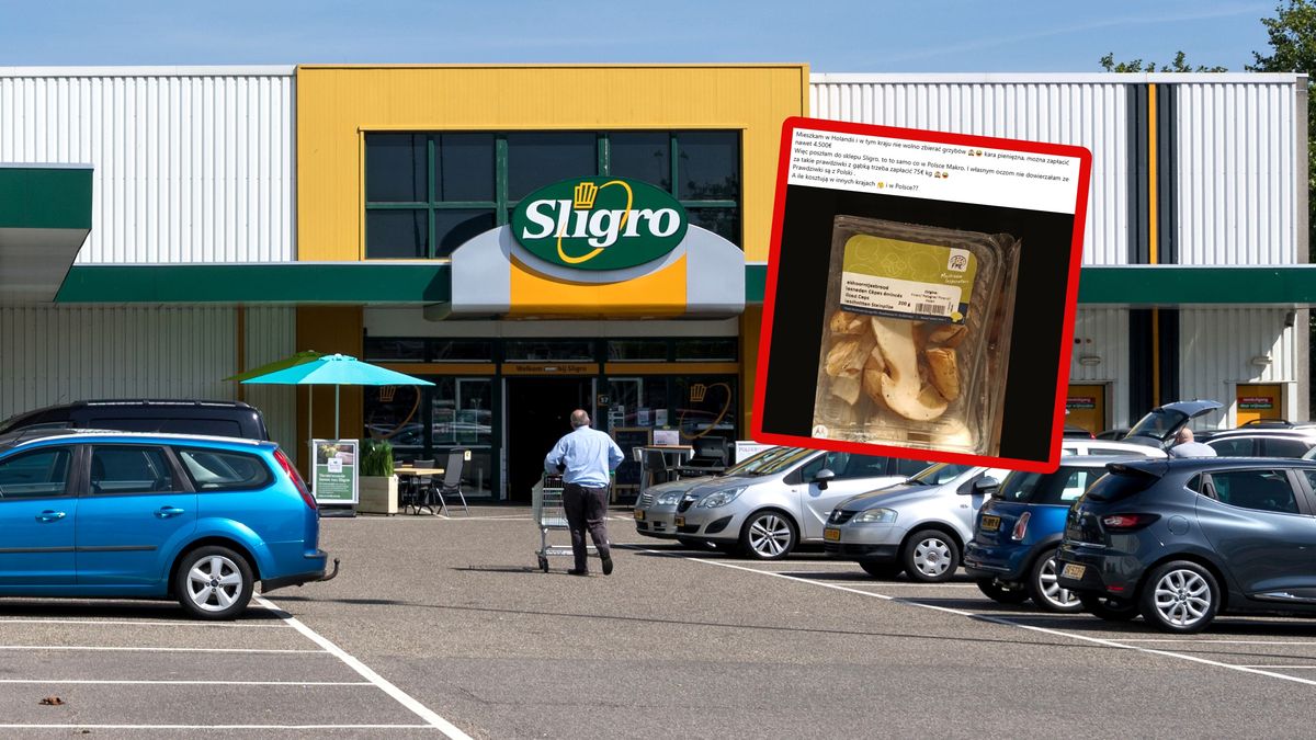 Pokazała, ile chcą za polskie grzyby w Holandii.