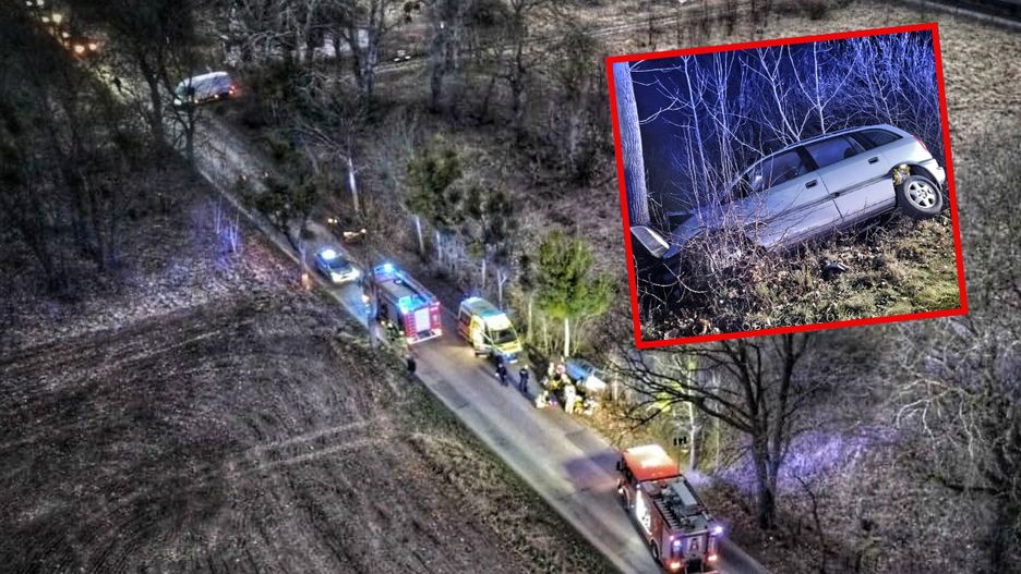 Auto uderzyło w drzewo