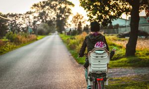 Preferują naszą krew. Te zwierzęta coraz częściej atakują ludzi