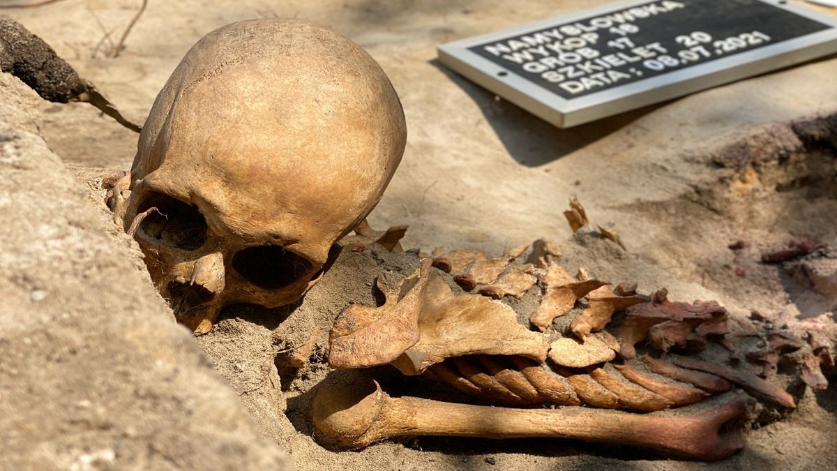 IPN dokonał makabrycznego odkrycia na warszawskiej Pradze