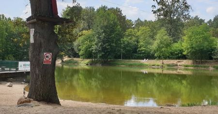 Skok na główkę w Zielonej Górze. Tragedia na Dzikiej Ochli