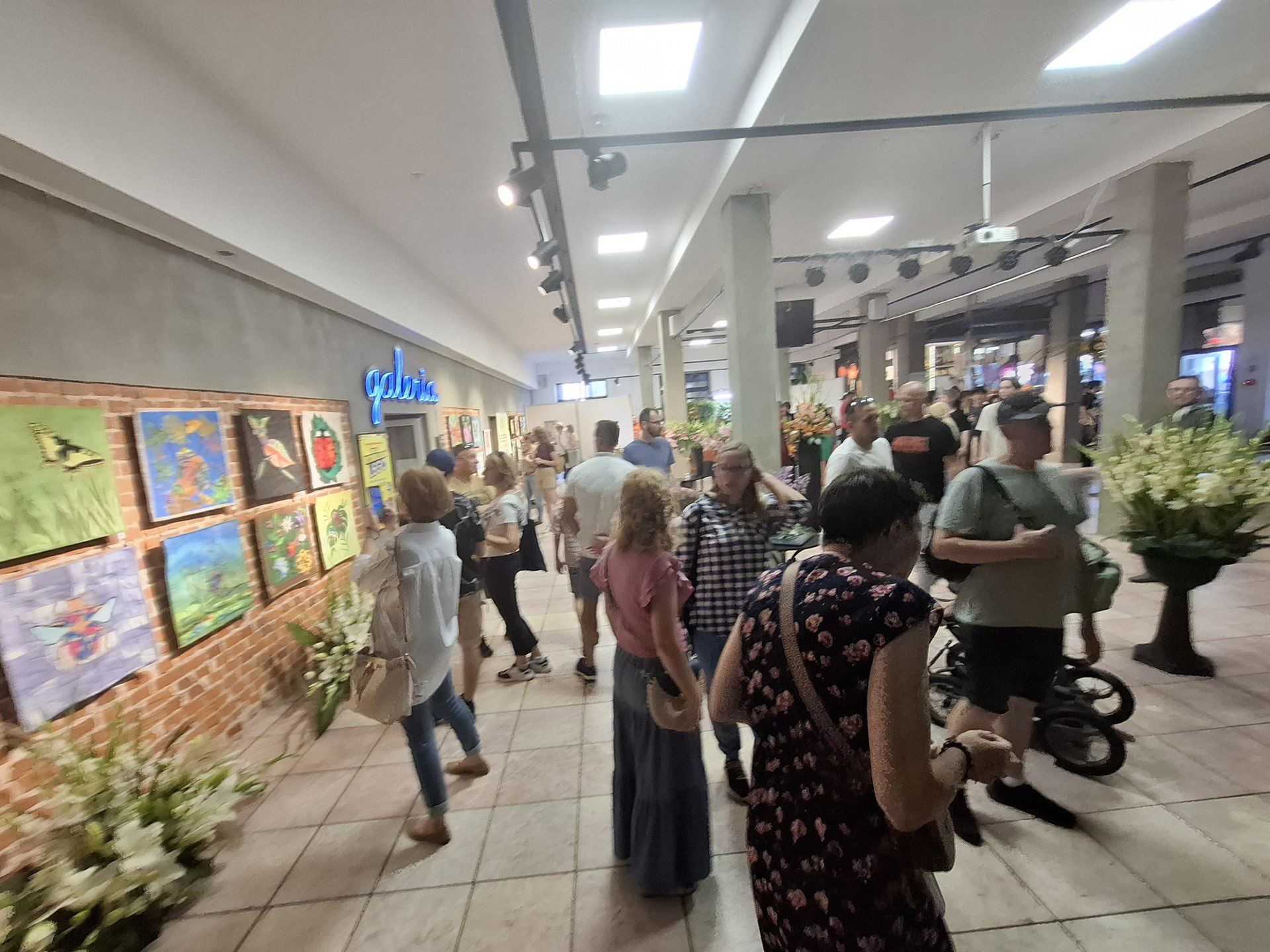 Wystawa pająków, którą warto odwiedzić. Wszystko w ramach Święta Kwiatów, Owoców i Warzyw