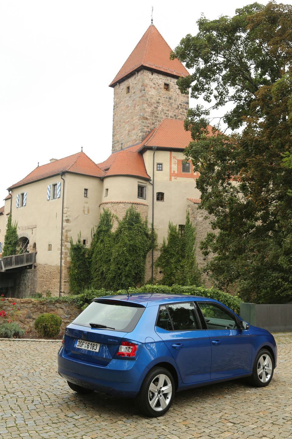 Obraz