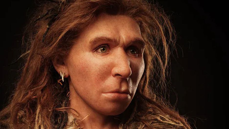 Geny odziedziczone po neandertalczykach mogą przyczyniać się do ryzyka poważnych powikłań po COVID-19