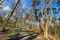 Pogoda. Wrocław. 27 maja - ciepło, ale z opadami deszczu. Od piątku ochłodzenie