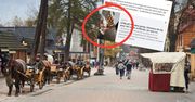 Kierowca autokaru o turystach w Zakopanem: Brak słów. Pokazał zdjęcia
