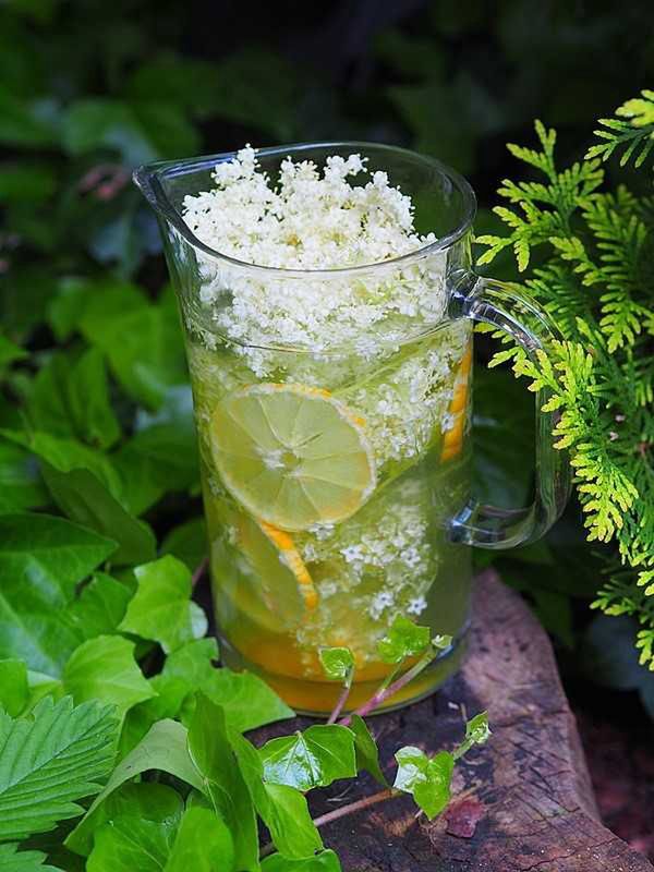 Lemoniada z kwiatami czarnego bzu 