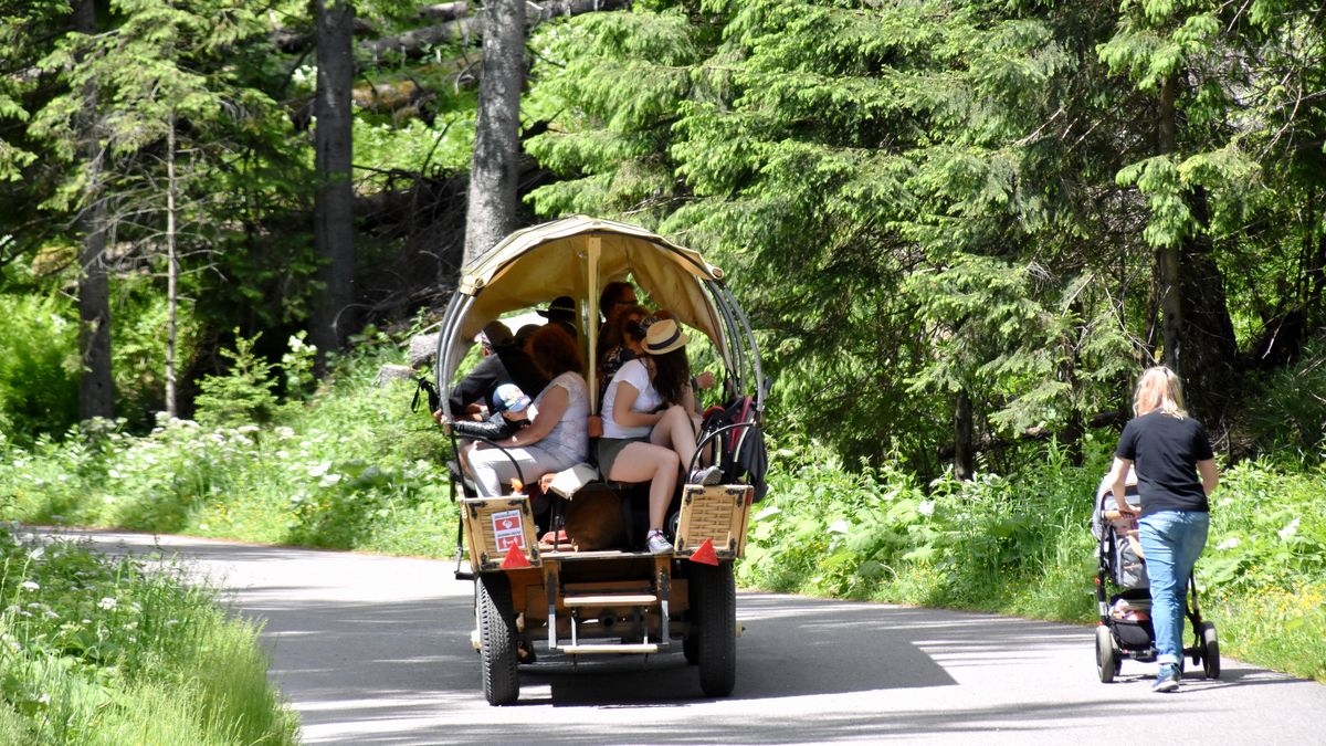 Turyści licznie korzystają z transportu konnego 