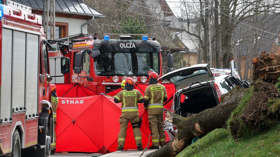 miejse zdarzenia
Zakopane, 01.04.2024. Silny podmuch wiatru na zakopia�skiej Olczy powali�, 1 bm. drzewo na samoch�d, kt�rym jecha�a m�oda kobieta. Poszkodowanej nie uda�o si� uratowa�. (aldg) PAP/Grzegorz Momot
***Zdj�cie do depeszy PAP pt. "Zakopane/ Drzewo przewr�ci�o si� na jad�cy samoch�d; zgin�a m�oda kobieta" ***
Grzegorz Momot
auto, drzewo, kobieta, Olcza, podmuch, porywisty, powalone, samoch�d, silny, wiatr