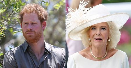 Królowa Camilla nie wytrzymała. Wyrzuciła księcia Harry'ego z Pałacu? "Hańba dla rodziny i monarchii"